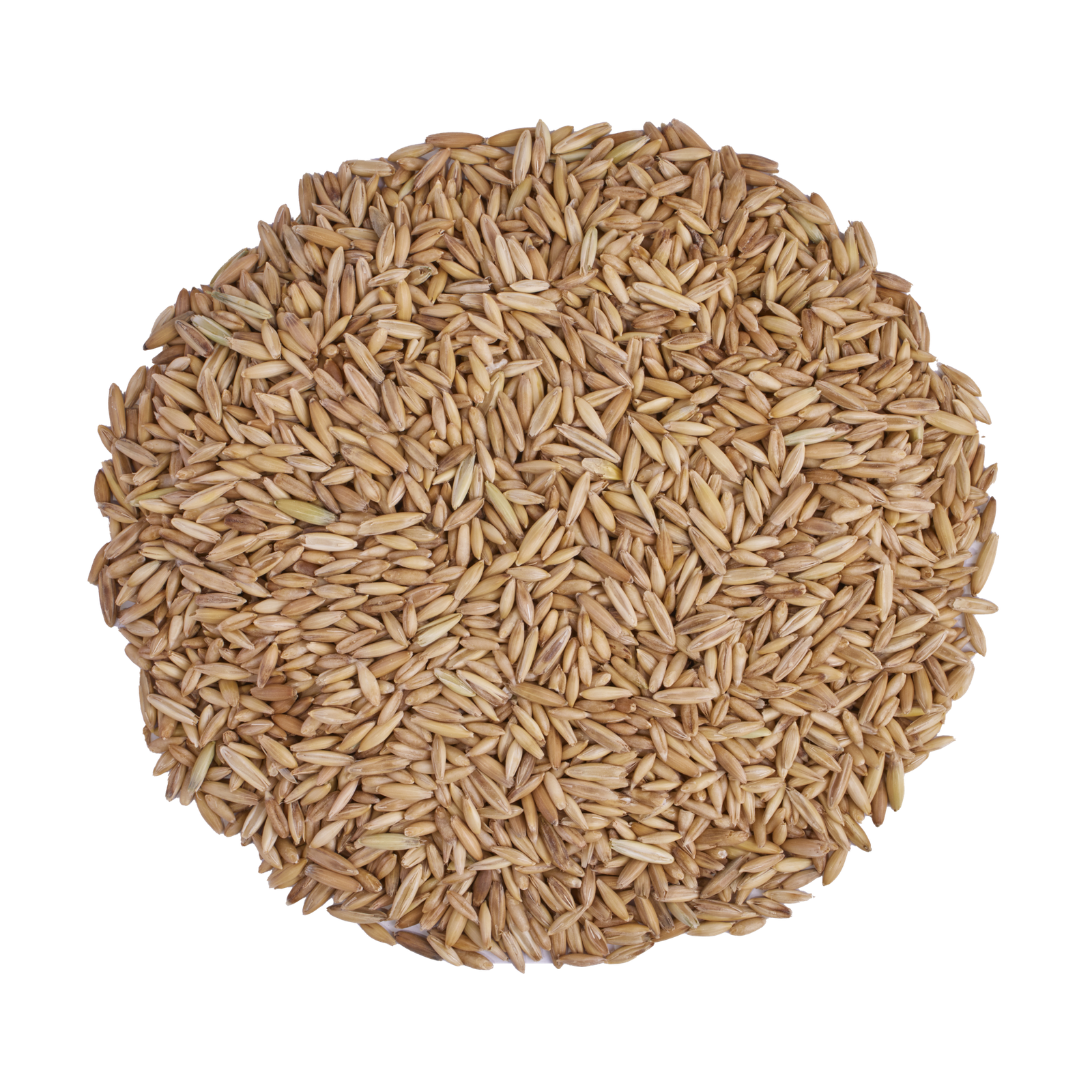 Barley Scaled