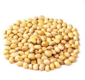Soybean