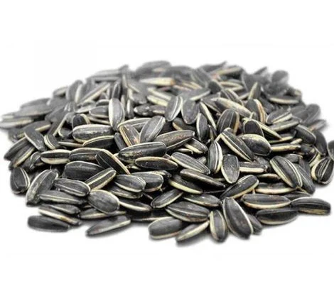 Sunflorseeds E1770715232302